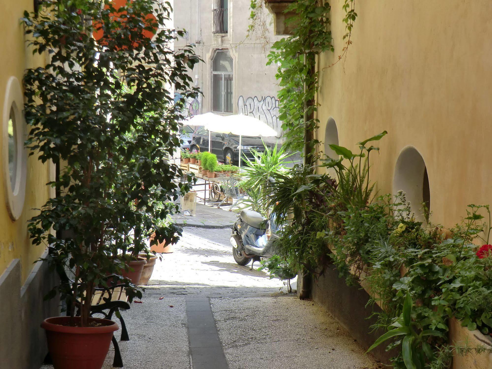 Villa Globetrotter CTA Exterior foto